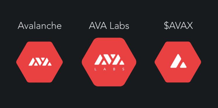 Fundo preto com o símbolo das empresas que fazem parte da cripto Avalanche (AVAX).